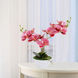 Fuchsia Artificial Orchid  Plant in Pot - EK CHIC HOME