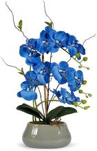 Load image into Gallery viewer, Royal Blue Silk Orchids Plants for Home Decor - EK CHIC HOME