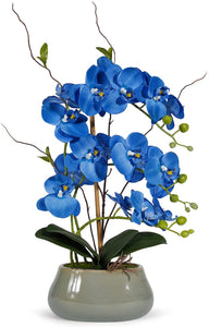 Royal Blue Silk Orchids Plants for Home Decor - EK CHIC HOME