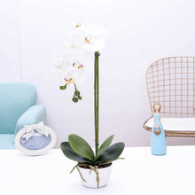 Load image into Gallery viewer, White Orchid  with White Pot Decor Indoor - EK CHIC HOME