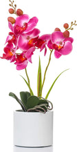 Load image into Gallery viewer, Artificial Flower Bonsai with Glass Vase Vivid Orchid - EK CHIC HOME