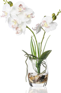 Artificial Flower Bonsai with Glass Vase Vivid Orchid - EK CHIC HOME