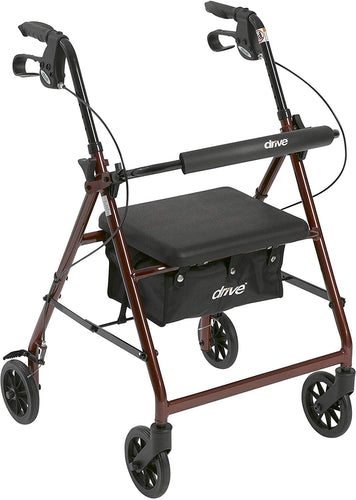 Aluminum Rollator Walker Fold Up and Removable Back Support, Padded Seat - EK CHIC HOME