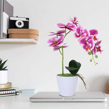 Load image into Gallery viewer, Purple Orchid  Phalaenopsis Arrangement Plants - EK CHIC HOME