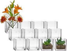 Load image into Gallery viewer, Set of 12 Glass Square Vases 4 x 4 h – Clear Cube Shape Flower Vase - EK CHIC HOME