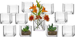 Set of 12 Glass Square Vases 4 x 4 h – Clear Cube Shape Flower Vase - EK CHIC HOME