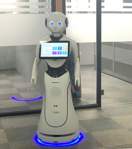 ALICE - Autonomous Humanoid Intelligent Robot for Reception - EK CHIC HOME