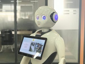 ALICE - Autonomous Humanoid Intelligent Robot for Reception - EK CHIC HOME