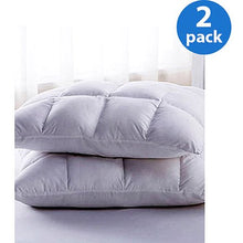 Load image into Gallery viewer, Loft 2-Pack Pillows - EK CHIC HOME