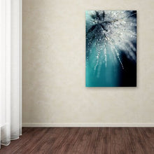 Load image into Gallery viewer, &quot;Morning Sonata&quot; Canvas Art - EK CHIC HOME