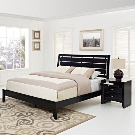 2-Piece Queen Contemporary Bedroom Set in Black - EK CHIC HOME
